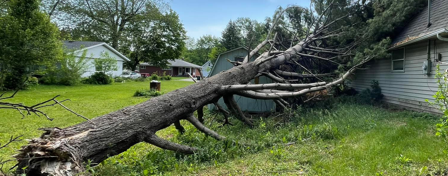 Storm Damage Tree Removal